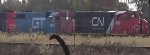 CN yard job